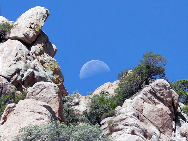 Arizona Moon Photo by Keith Watson